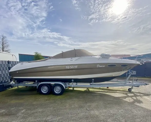 2001 Sea Ray 260 ov incl. trailer