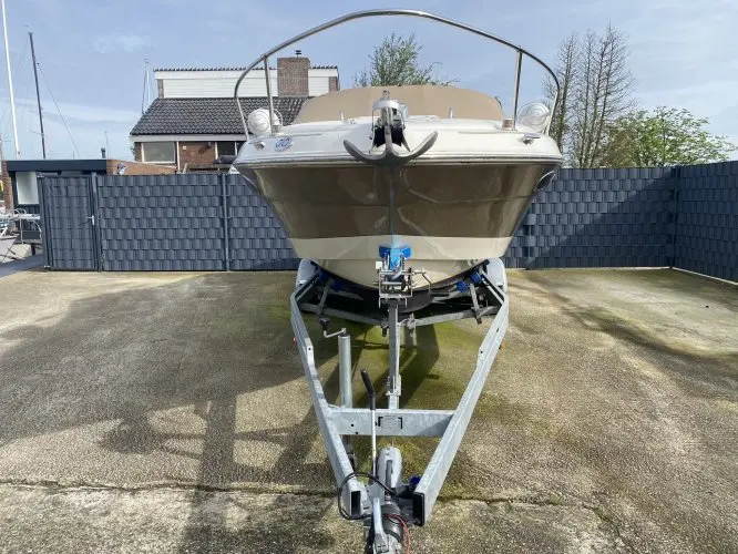 2001 Sea Ray 260 ov incl. trailer