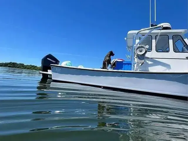 Custom Boats 24