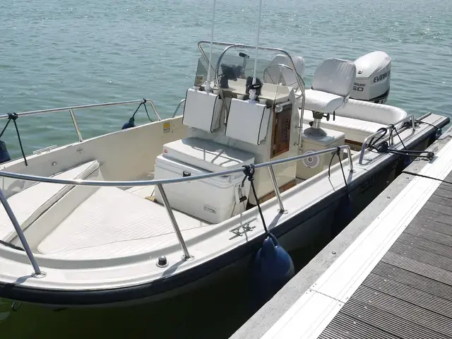 Boston Whaler 18 Outrage