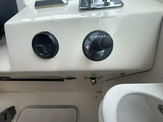 Sea Ray 400 Express Cruiser