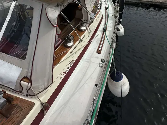 Rex Marin Aphrodite 42 (Now Najad)