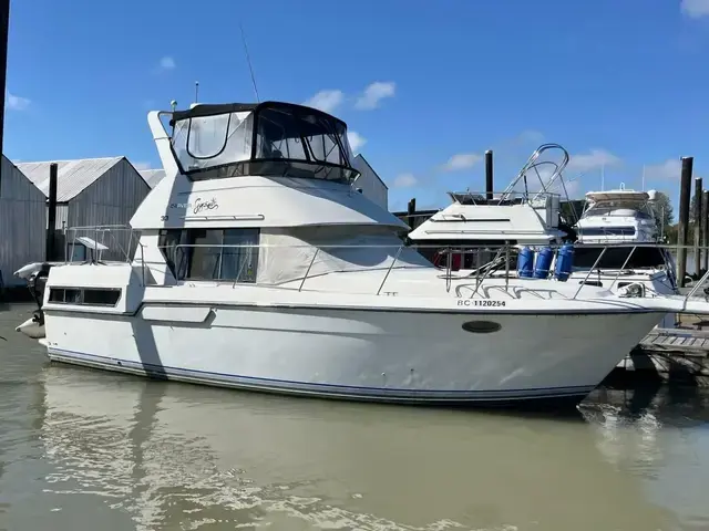 Carver 33 Aft Cabin