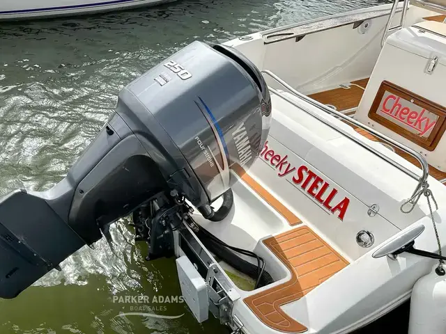 Sessa Marine Key Largo 26