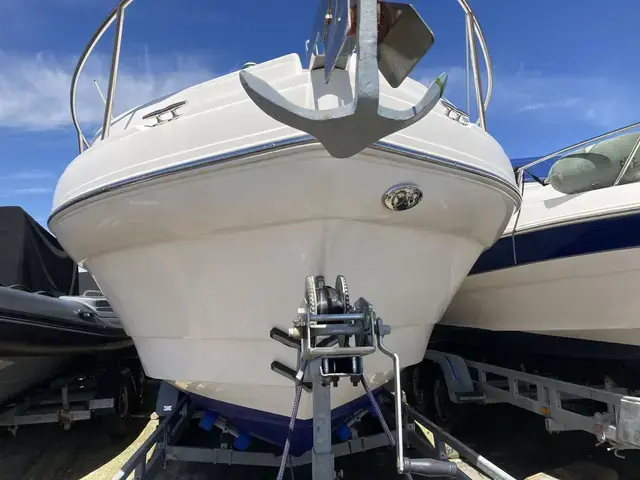 Rinker 242 Fiesta Vee