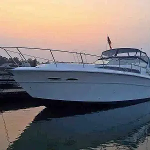 1989 Sea Ray 390