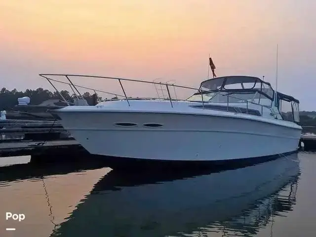 Sea Ray 390