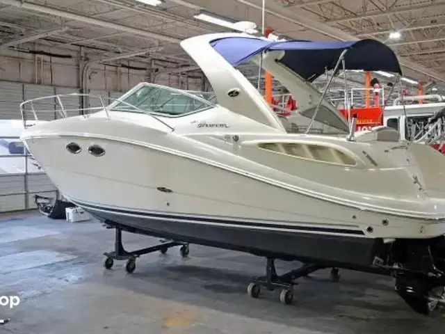 Sea Ray 290 Sundancer