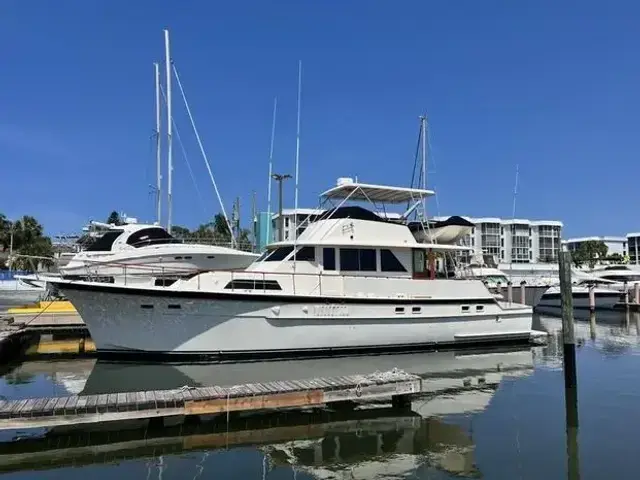 Hatteras Yacht Fish