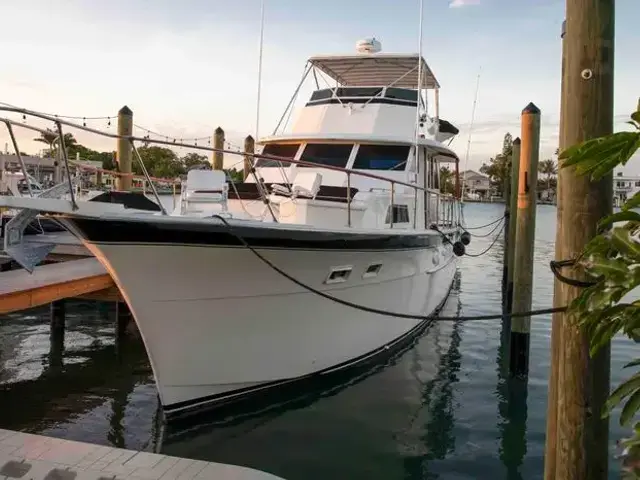 Hatteras Yacht Fish