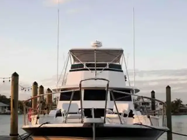 Hatteras Yacht Fish