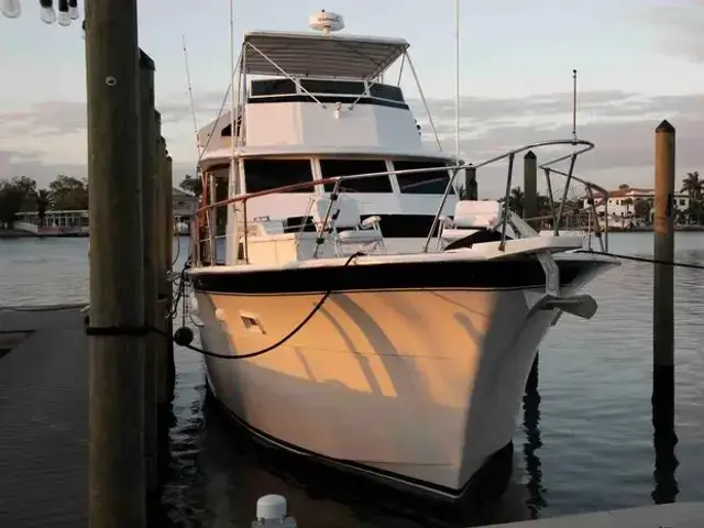 Hatteras Yacht Fish