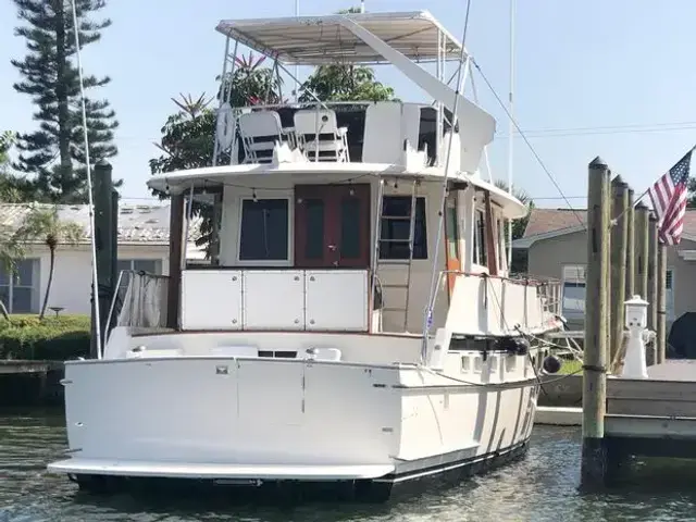 Hatteras Yacht Fish