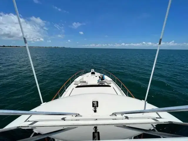 Hatteras Yacht Fish