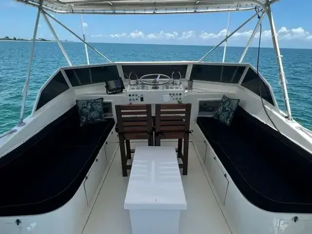 Hatteras Yacht Fish