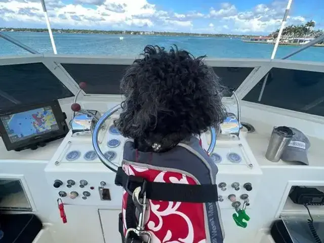 Hatteras Yacht Fish