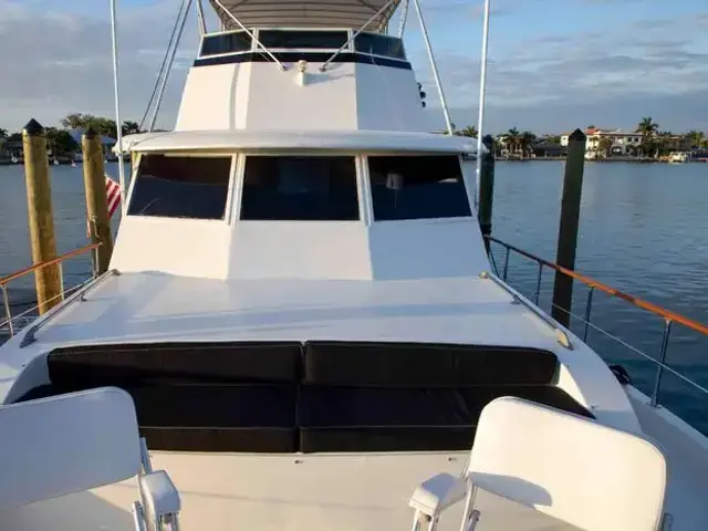 Hatteras Yacht Fish