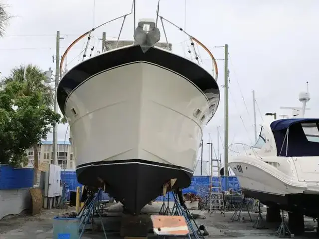 Hatteras Yacht Fish