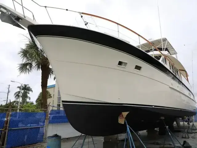 Hatteras Yacht Fish