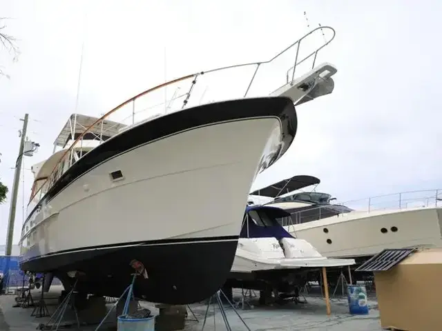 Hatteras Yacht Fish