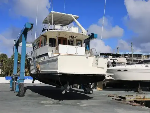 Hatteras Yacht Fish