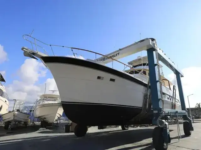 Hatteras Yacht Fish