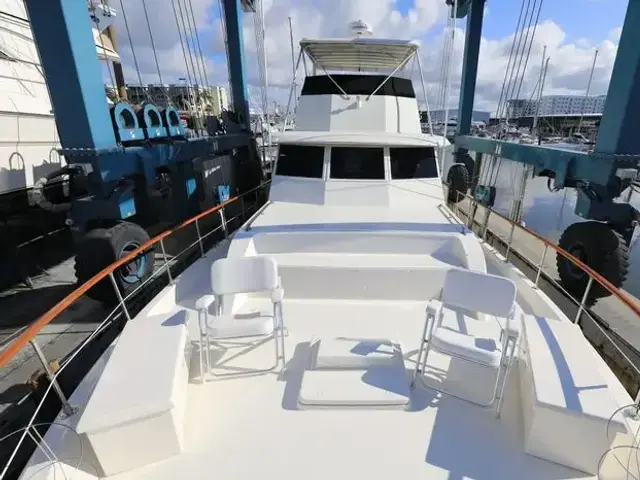 Hatteras Yacht Fish