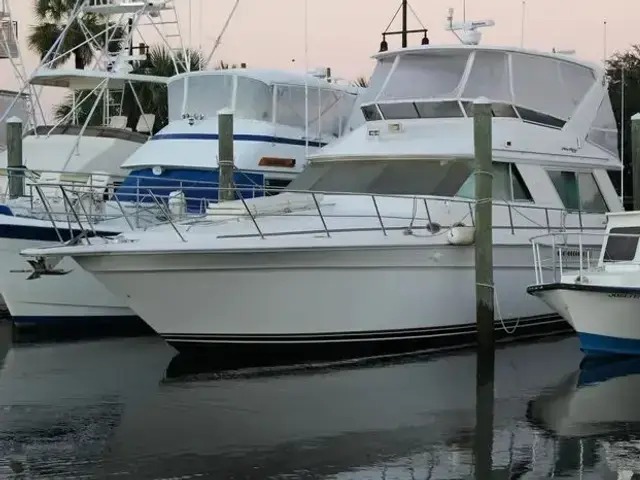 Sea Ray 550 Sedan Bridge