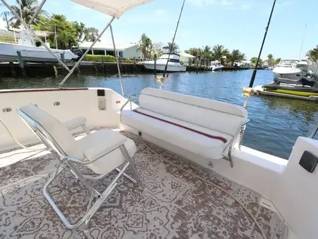 Sea Ray 350 Express Cruiser