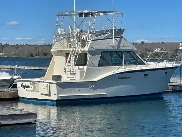 Hatteras 37 Convertible