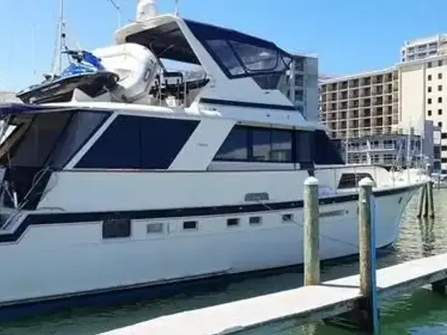 Hatteras 60 Yacht Fish