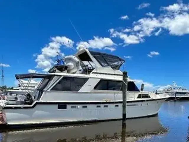 Hatteras 60 Yacht Fish