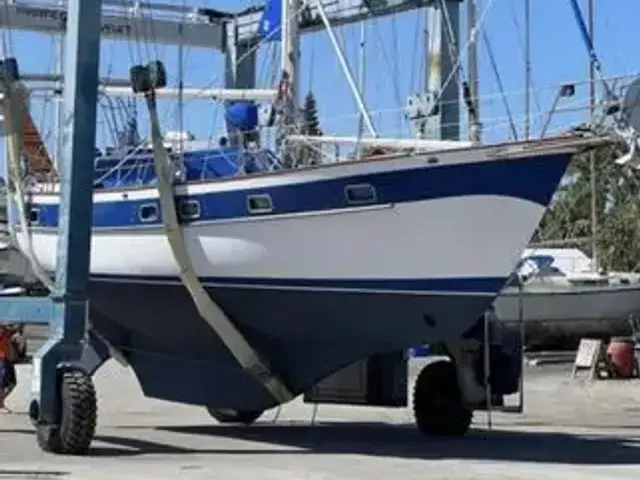 Sea Star 46