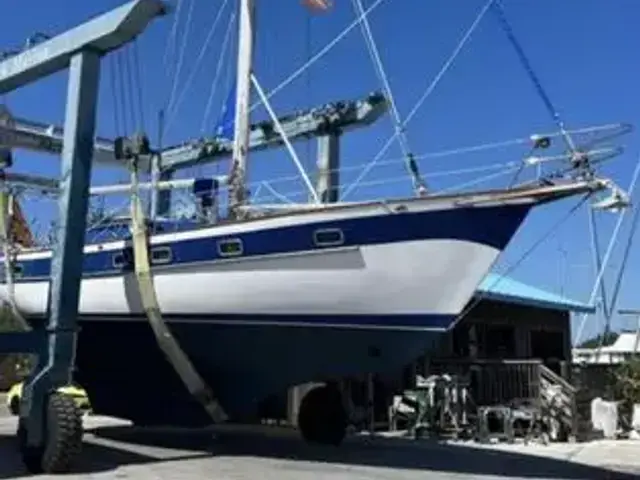 Sea Star 46