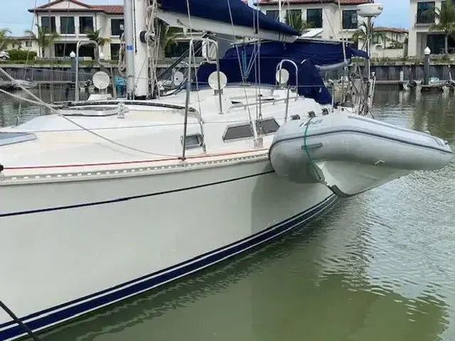 Saga 43