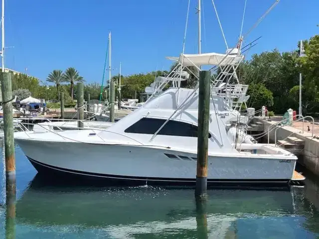 Luhrs 36 Convertible