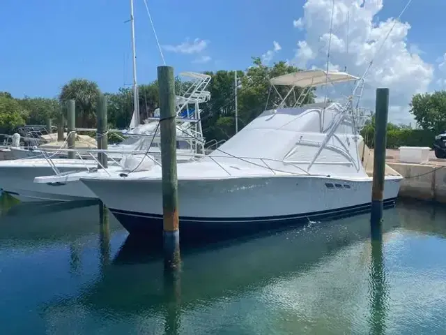 Luhrs 36 Convertible