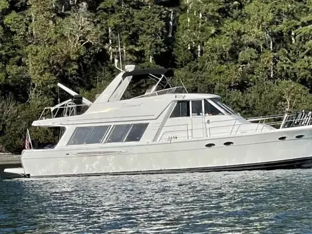 Meridian 490 Pilothouse