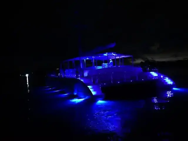 Custom 82 Commerical Catamaran