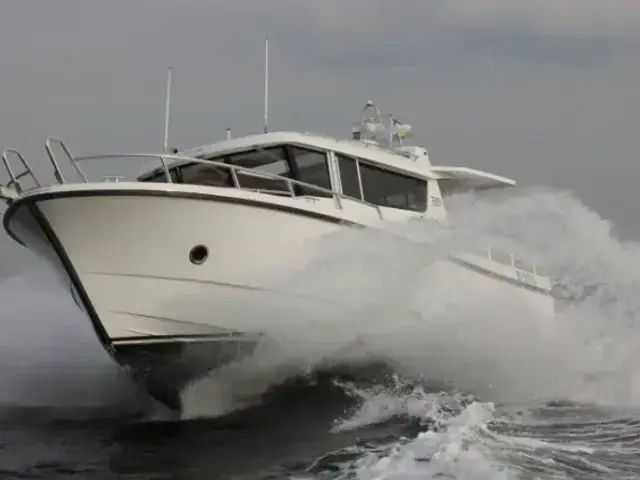 Sargo 36