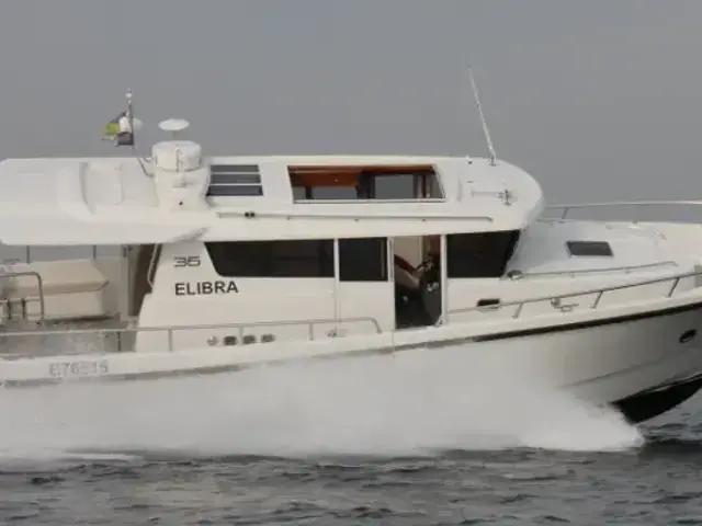 Sargo 36