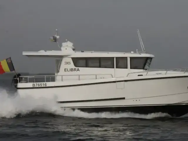 Sargo 36