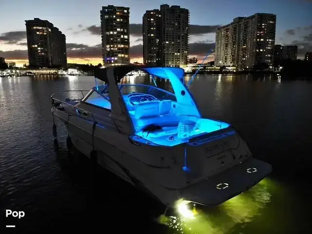 Sea Ray Sundancer 310