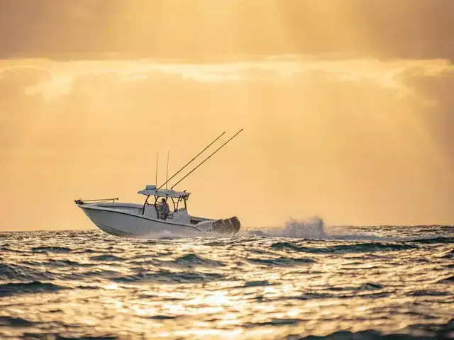 Yellowfin Offshore