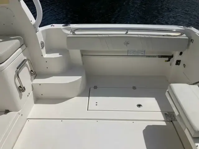 Striper 290 Walkaround