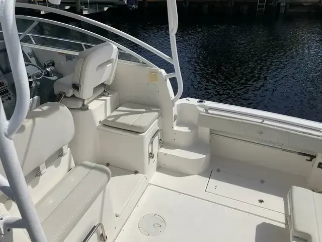 Striper 290 Walkaround