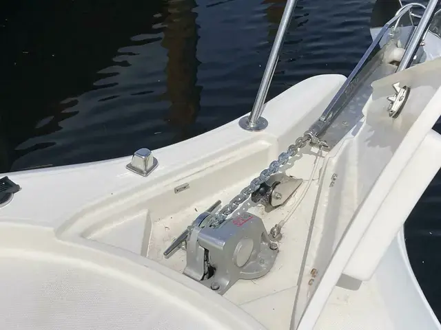 Striper 290 Walkaround