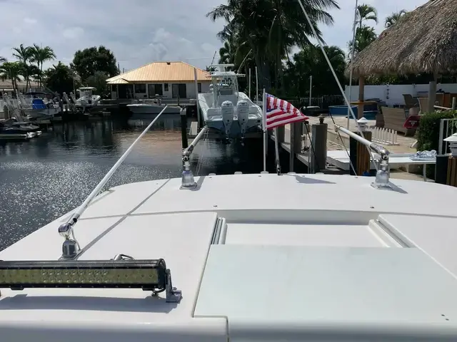 Striper 290 Walkaround