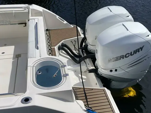 Striper 290 Walkaround