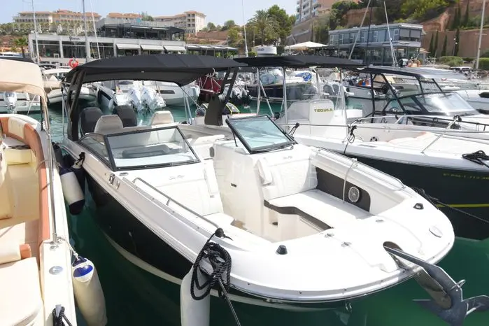 2018 Sea Ray sdx 290